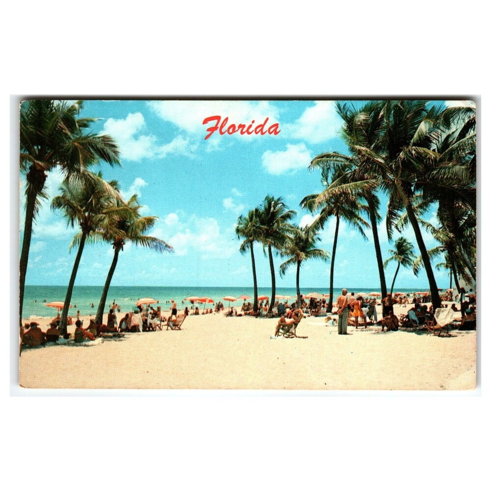 Vintage 1962 Florida Beach Scene Postcard - Palm Trees & Tourists - Koppel